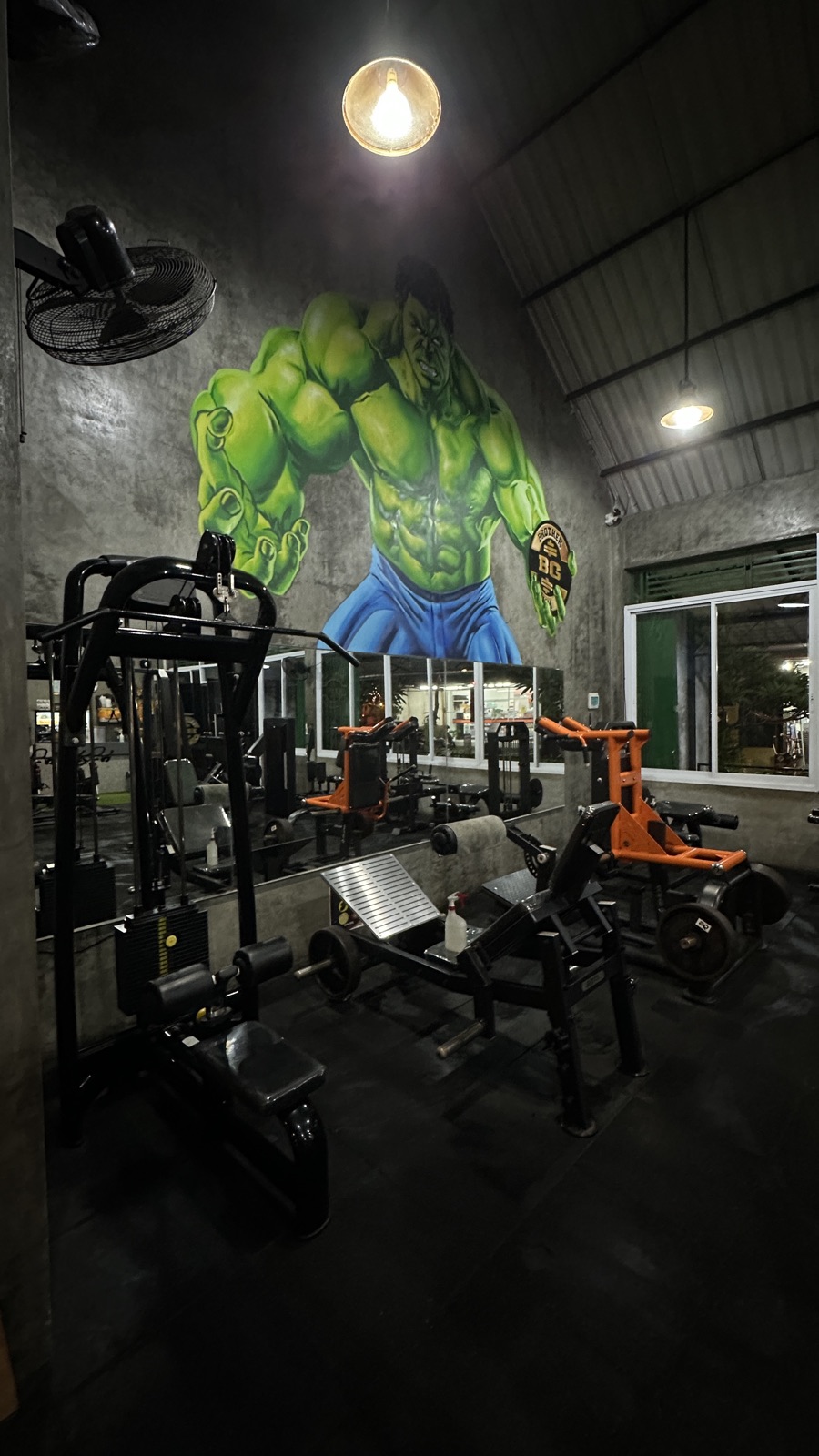 Brother Gym Canggu — functional zone