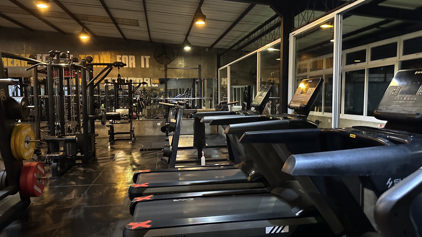 Brother Gym Canggu interior — view across the floor